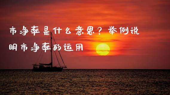市净率是什么意思？举例说明市净率的运用_https://cj002.lansai.wang_期货问答_第1张