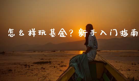 怎么样玩基金？新手入门指南_https://cj002.lansai.wang_财经百问_第1张