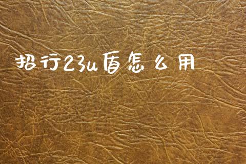 招行23u盾怎么用_https://cj002.lansai.wang_金融问答_第1张