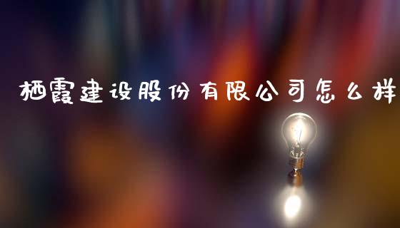 栖霞建设股份有限公司怎么样_https://cj002.lansai.wang_财经百问_第1张