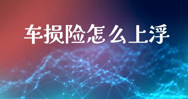车损险怎么上浮_https://cj002.lansai.wang_保险问答_第1张