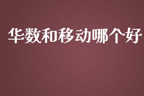 华数和移动哪个好_https://cj002.lansai.wang_金融问答_第1张