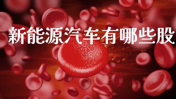 新能源汽车有哪些股_https://cj002.lansai.wang_财经百问_第1张
