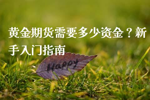 黄金期货需要多少资金？新手入门指南_https://cj002.lansai.wang_期货问答_第1张