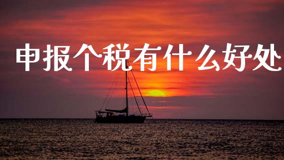 申报个税有什么好处_https://cj002.lansai.wang_会计问答_第1张