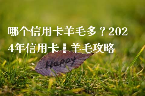 哪个信用卡羊毛多？2024年信用卡薅羊毛攻略_https://cj002.lansai.wang_股市问答_第1张