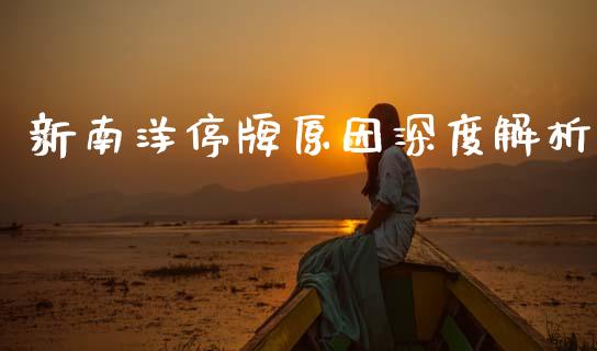 新南洋停牌原因深度解析_https://cj002.lansai.wang_理财问答_第1张