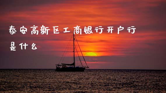 泰安高新区工商银行开户行是什么_https://cj002.lansai.wang_金融问答_第1张