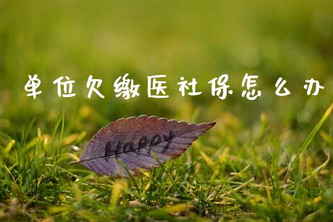 单位欠缴医社保怎么办_https://cj002.lansai.wang_保险问答_第1张