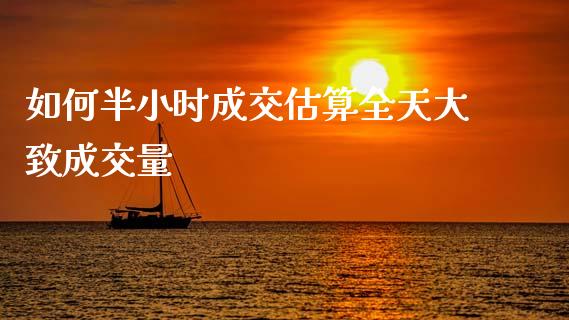 如何半小时成交估算全天大致成交量_https://cj002.lansai.wang_股市问答_第1张