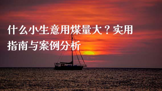 什么小生意用煤量大？实用指南与案例分析_https://cj002.lansai.wang_财经问答_第1张
