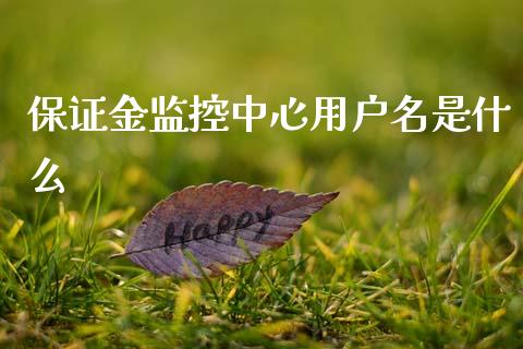 保证金监控中心用户名是什么_https://cj002.lansai.wang_期货问答_第1张