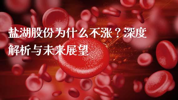 盐湖股份为什么不涨？深度解析与未来展望_https://cj002.lansai.wang_股市问答_第1张