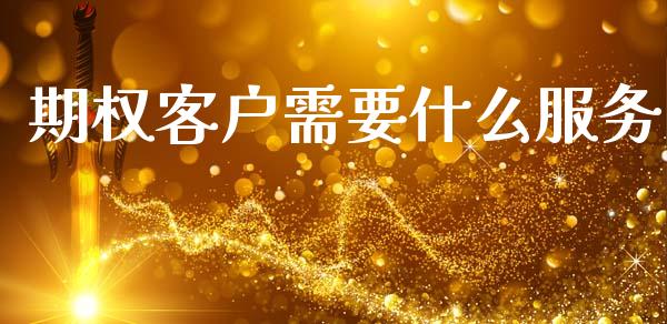 期权客户需要什么服务_https://cj002.lansai.wang_期货问答_第1张