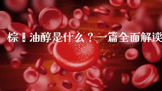 棕榈油醇是什么?一篇全面解读_理财问答_第1张_财经百问网 棕榈油醇是什么?一篇全面解读_https://cj002.lansai.wang_理财问答_第1张