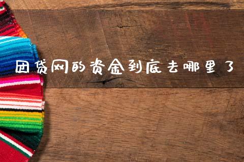 团贷网的资金到底去哪里了_https://cj002.lansai.wang_股市问答_第1张