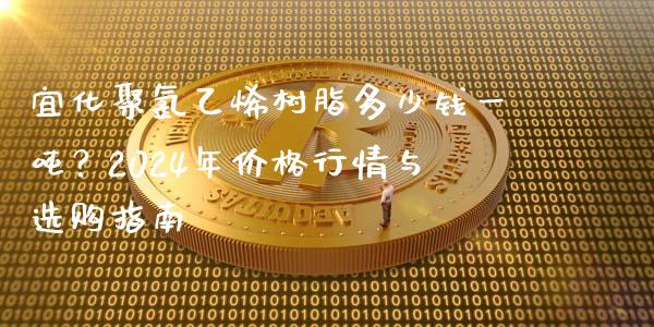 宜化聚氯乙烯树脂多少钱一吨？2024年价格行情与选购指南_https://cj002.lansai.wang_财经问答_第1张