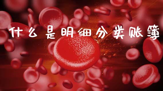什么是明细分类账簿_https://cj002.lansai.wang_会计问答_第1张