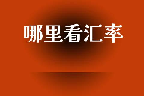 哪里看汇率_https://cj002.lansai.wang_财经问答_第1张