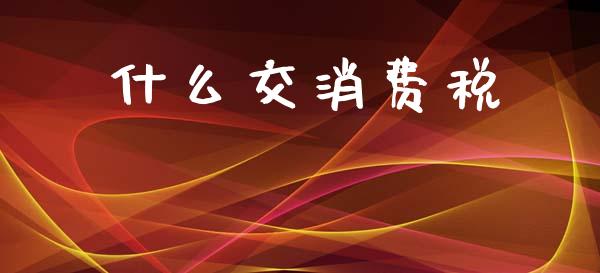 什么交消费税_https://cj002.lansai.wang_会计问答_第1张