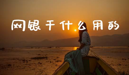 网银干什么用的_https://cj002.lansai.wang_理财问答_第1张