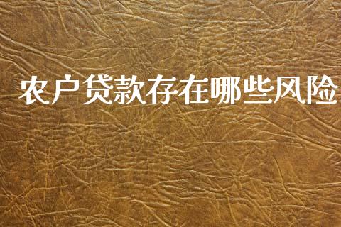农户贷款存在哪些风险_https://cj002.lansai.wang_理财问答_第1张