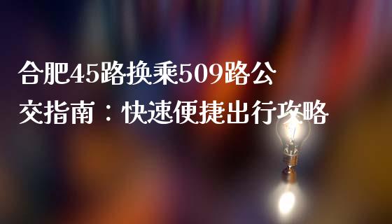 合肥45路换乘509路公交指南：快速便捷出行攻略_https://cj002.lansai.wang_股市问答_第1张