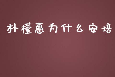 朴槿惠为什么安培_https://cj002.lansai.wang_金融问答_第1张