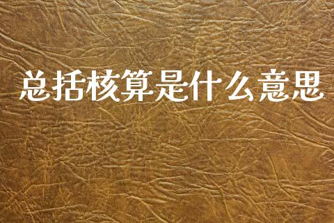总括核算是什么意思_https://cj002.lansai.wang_会计问答_第1张