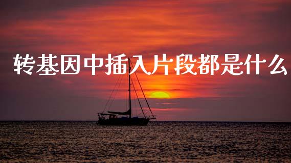 转基因中插入片段都是什么_https://cj002.lansai.wang_理财问答_第1张
