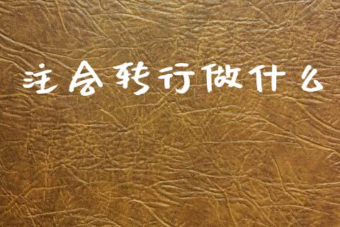 注会转行做什么_https://cj002.lansai.wang_会计问答_第1张