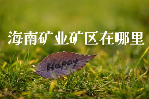 海南矿业矿区在哪里_https://cj002.lansai.wang_金融问答_第1张