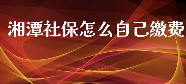 湘潭社保怎么自己缴费_https://cj002.lansai.wang_保险问答_第1张