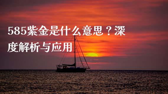 585紫金是什么意思？深度解析与应用_https://cj002.lansai.wang_会计问答_第1张