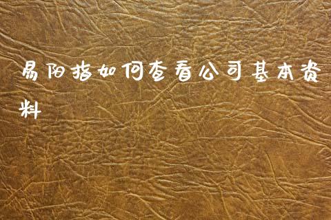 易阳指如何查看公司基本资料_https://cj002.lansai.wang_股市问答_第1张