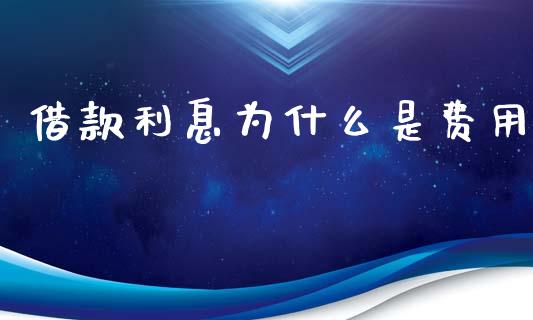 借款利息为什么是费用_https://cj002.lansai.wang_会计问答_第1张