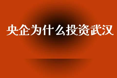 央企为什么投资武汉_https://cj002.lansai.wang_理财问答_第1张