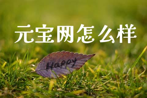 元宝网怎么样_https://cj002.lansai.wang_股市问答_第1张
