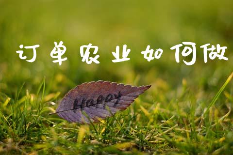 订单农业如何做_https://cj002.lansai.wang_金融问答_第1张