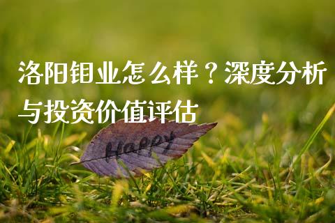 洛阳钼业怎么样？深度分析与投资价值评估_https://cj002.lansai.wang_财经百问_第1张