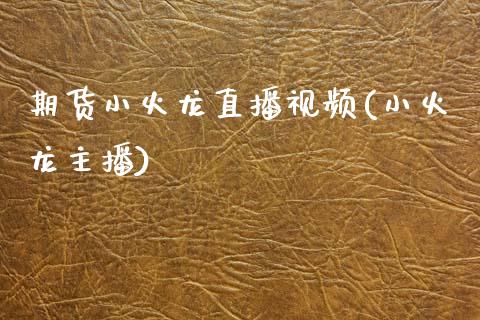 期货小火龙直播视频(小火龙主播)_https://cj002.lansai.wang_会计问答_第1张