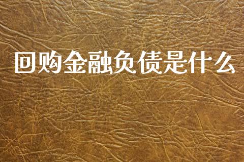 回购金融负债是什么_https://cj002.lansai.wang_会计问答_第1张