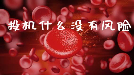 投机什么没有风险_https://cj002.lansai.wang_金融问答_第1张