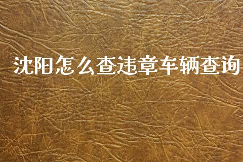 沈阳怎么查违章车辆查询_https://cj002.lansai.wang_保险问答_第1张