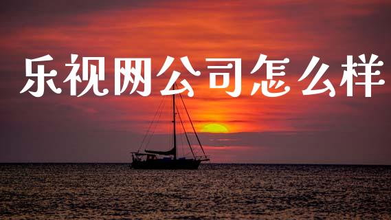 乐视网公司怎么样_https://cj002.lansai.wang_保险问答_第1张