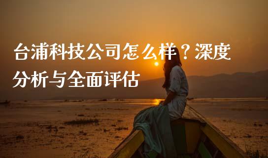 台浦科技公司怎么样？深度分析与全面评估_https://cj002.lansai.wang_保险问答_第1张