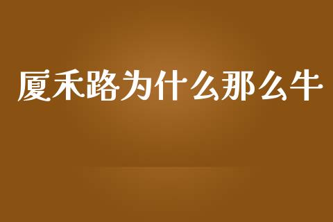 厦禾路为什么那么牛_https://cj002.lansai.wang_金融问答_第1张