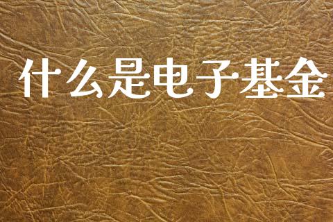 什么是电子基金_理财问答_第1张_财经百问网 什么是电子基金_https://cj002.lansai.wang_理财问答_第1张
