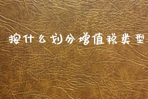 按什么划分增值税类型_https://cj002.lansai.wang_会计问答_第1张