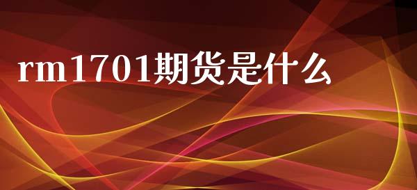 rm1701期货是什么_https://cj002.lansai.wang_期货问答_第1张